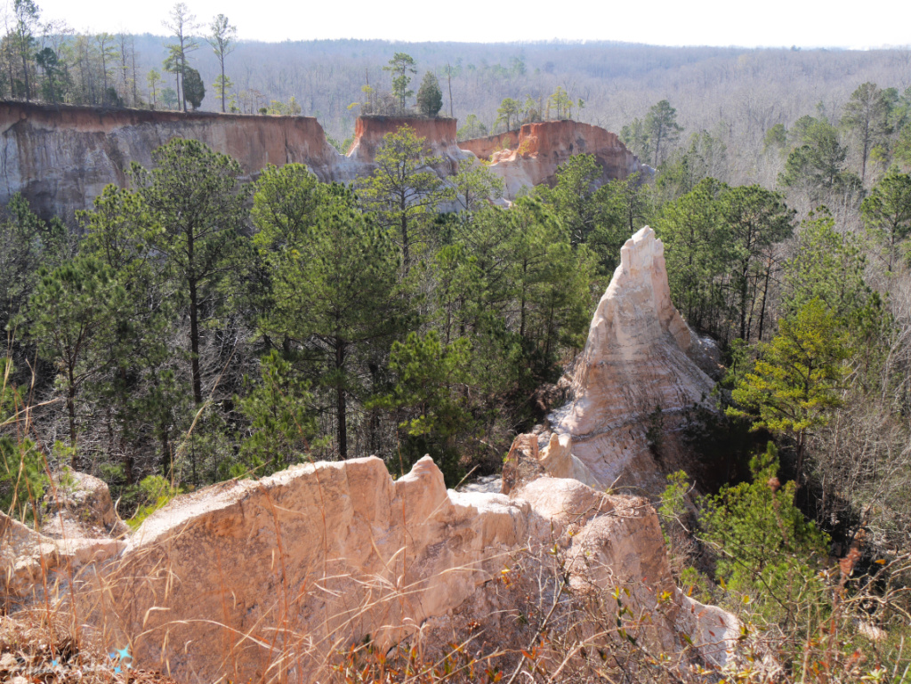 Providence Canyon - White Pinnacle Viewed from Canyon Rim  @FanningSparks